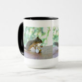 Dekhoornspuittrommels Mok (Voorkant links)