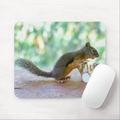 Dekhoornspuittrommels Muismat (Met muis)