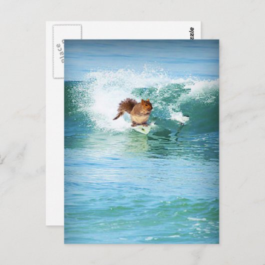 Dekhoornsurfer op het Zee Briefkaart (Voorkant / Achterkant)