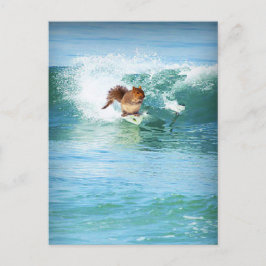 Dekhoornsurfer op het Zee Briefkaart