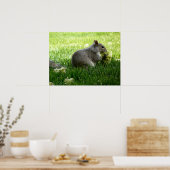 Dekhoorntjesbloemen Poster (Keuken)