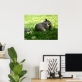 Dekhoorntjesbloemen Poster (Thuiskantoor)