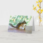 Dekhoornvaten Kaart (Gele Bloem)