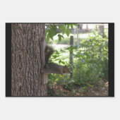 Dekhoornvaten voor het verpakken van papier inpakpapier vel (Voorkant 3)