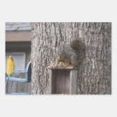 Dekhoornvaten voor het verpakken van papier inpakpapier vel (Voorkant 2)