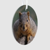 Dekhoornversiering Ornament (voorkant)