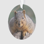 Dekhoornversiering Ornament (voorkant)