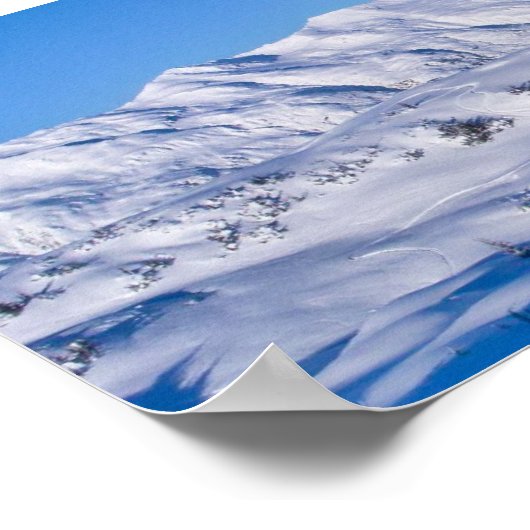 Dekhoornvlies Pano Poster (Hoek)