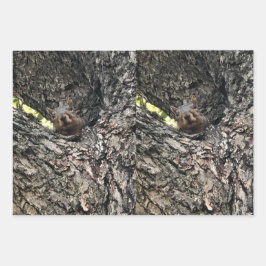 Dekhoornvlies van papier voor onmiddellijke verpak inpakpapier vel