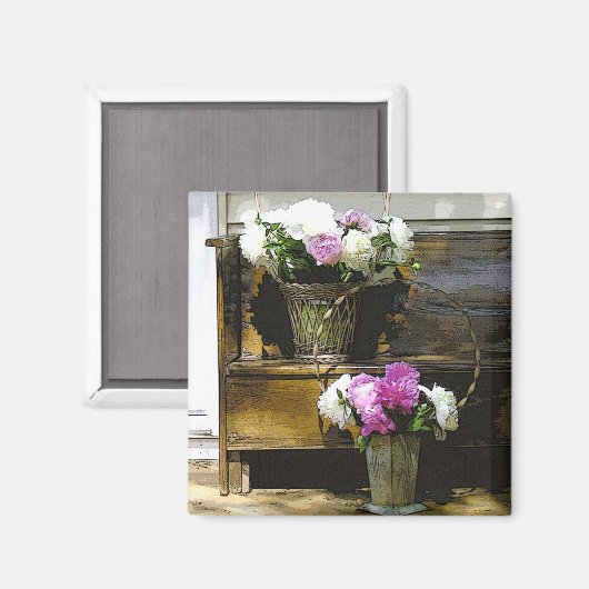 Dekken van pinda's magneet (Voorkant / Achterkant)