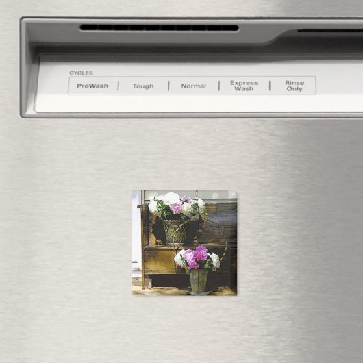 Dekken van pinda's magneet (Insitu (Vaatwasser))