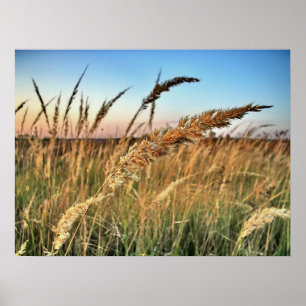 Deklichten en dalen, Zonsondergangen en zonnescher Poster