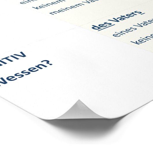 Deklination - Nomen (N-A-D-G / m-f-n-pl) Poster (Hoek)