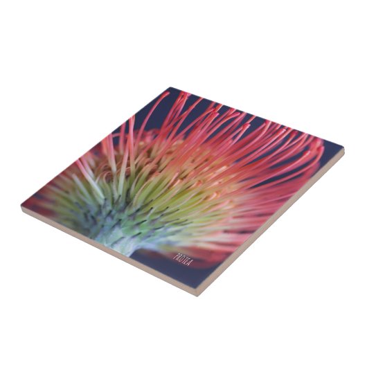 DEKO FLIESE "PROTEA" TEGELTJE (Zijkant)