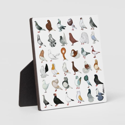 Dekriet 36 fotoplaat (Voorkant)