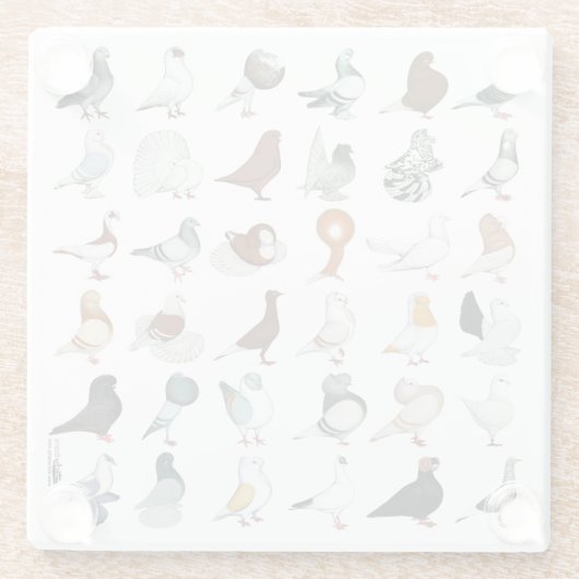 Dekriet 36 glazen onderzetter (Achterkant)