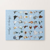 Dekriet 36 legpuzzel (Horizontaal)