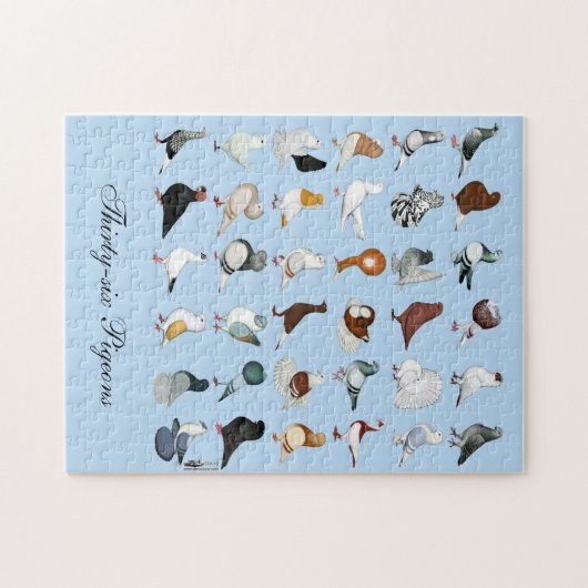 Dekriet 36 legpuzzel (Horizontaal)