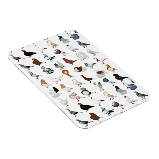 Dekriet 36 magneet (Rechterzijde)