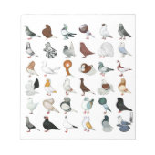 Dekriet 36 notitieblok (Voorkant)