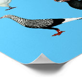 Dekriet 36 poster (Hoek)