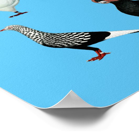 Dekriet 36 poster (Hoek)