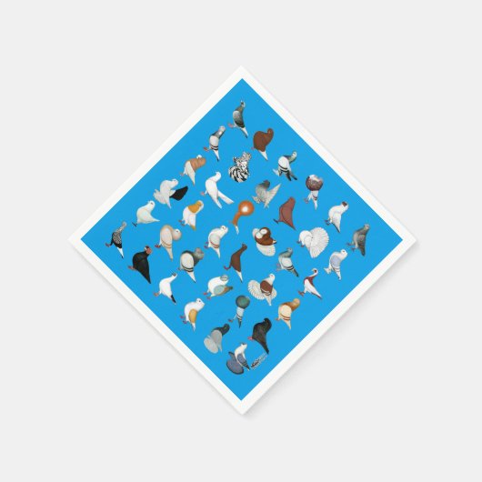 Dekriet 36 servet (Hoek)