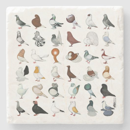 Dekriet 36 stenen onderzetter (Voorkant)