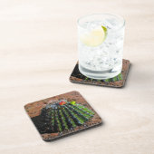 Deksel Cactus Plastic Onderzetters (Rechterzijde)