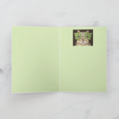 Deksel in een maskerkaart kaart (Binnen)