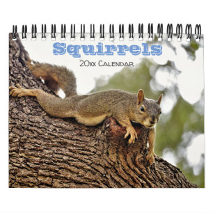 Deksel Kalender voor dierenvrienden of cadeau