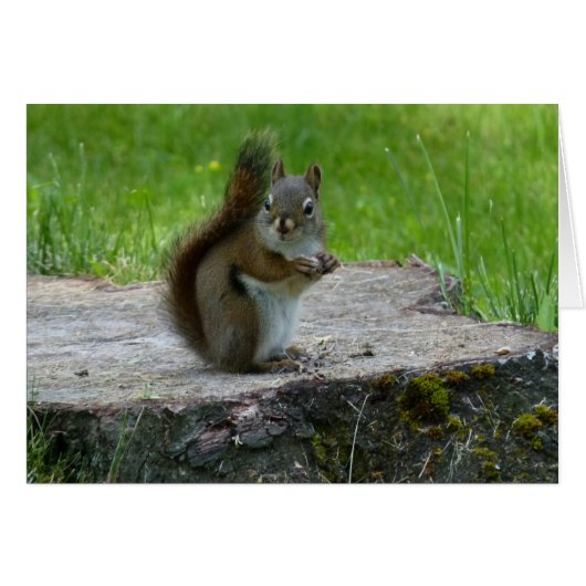 Deksel op boomstamkaart (Voorkant Horizontaal)