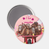 Deksel van apen Orangutan Babies Magneet (Voorkant / Achterkant)
