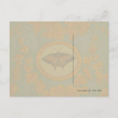 Deksel van de zijde van de vlinder ~ Briefkaart / (Achterkant)