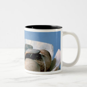 Deksel van een broodrooster met een vogel tweekleurige koffiemok