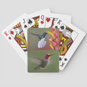 Deksel van kaartjes voor gezelschapsvogels pokerkaarten