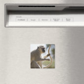 Dekstaartstaart Magneet (Insitu (Vaatwasser))