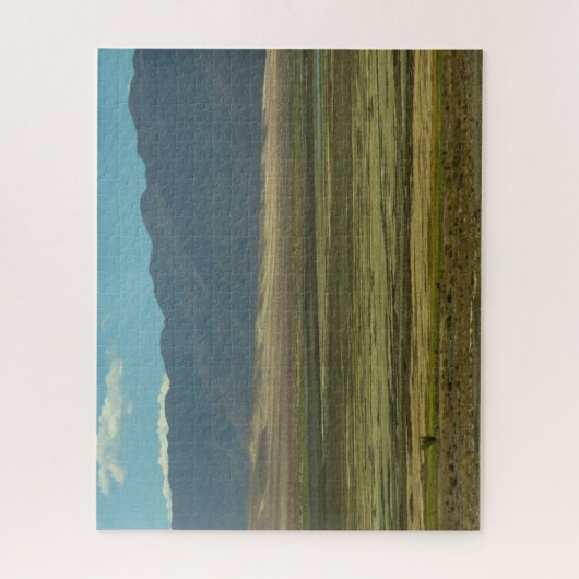 Dekte woestijn - puzzel (Verticaal)