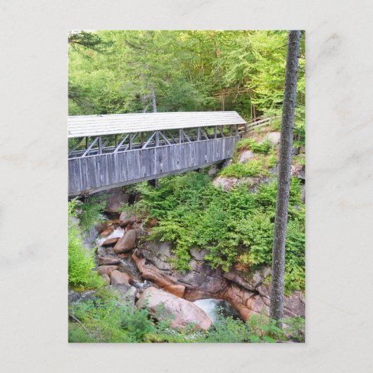 Dekte Wooden Bridge Sentinel Pine Briefkaart (Voorkant)