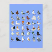 Dekvloeren Briefkaart (Voorkant)