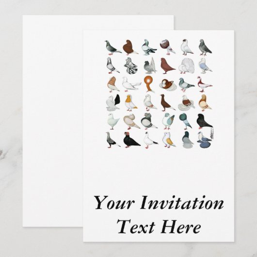 Dekvloeren Kaart (Voorkant / Achterkant)