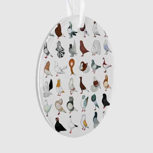 Dekvloeren Ornament (voorkant)