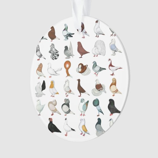 Dekvloeren Ornament (voorkant)