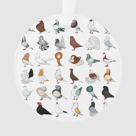 Dekvloeren Ornament (voorkant)