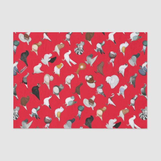 Dekvloeren Tissuepapier (Voorkant)