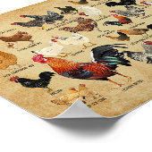 Dekvloeren van  kippenkwekers poster (Hoek)