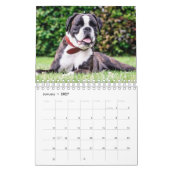 Dekvloeren van magnificant Bully Kalender (Jan 2027)