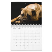 Dekvloeren van magnificant Bully Kalender (Mar 2027)