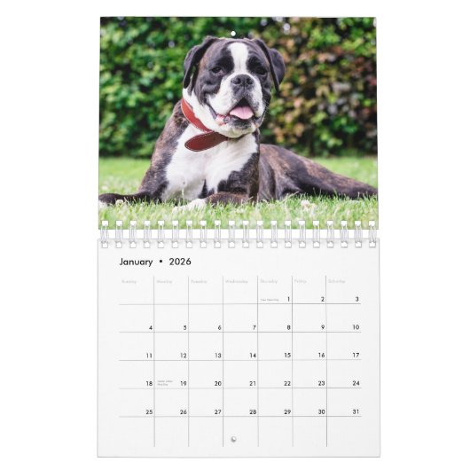 Dekvloeren van magnificant Bully Kalender (Jan 2026)