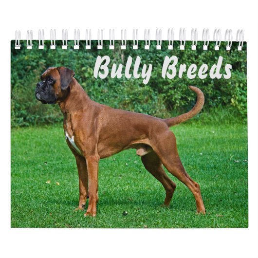 Dekvloeren van magnificant Bully Kalender (Hoes)